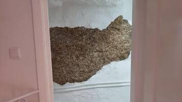 Un couloir avec un mur blanc à texture et un objet marron à texture accroché à ce mur.