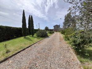 Une allée de gravier mène à une maison entourée de haies et d’arbres.