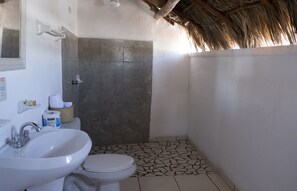 Regadera, toallas, jabón, shampoo 