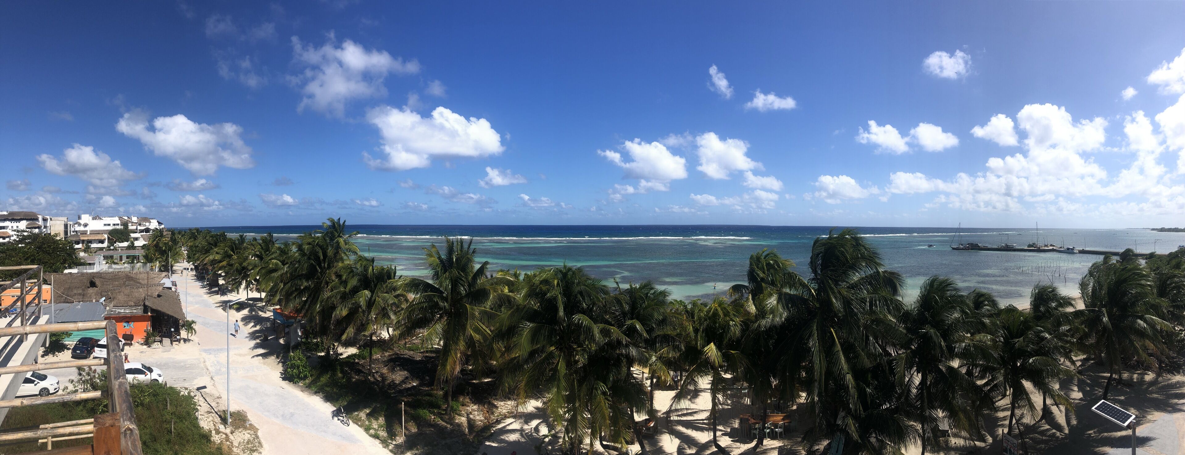 A beach with palm trees, a clear sky, and a view of the ocean.