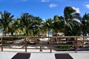 Standard Suite | View from room