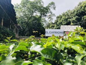 Garden - El Capricho by Rotamundos (Xicotepec)