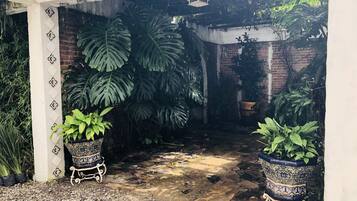 Vista desde la habitación