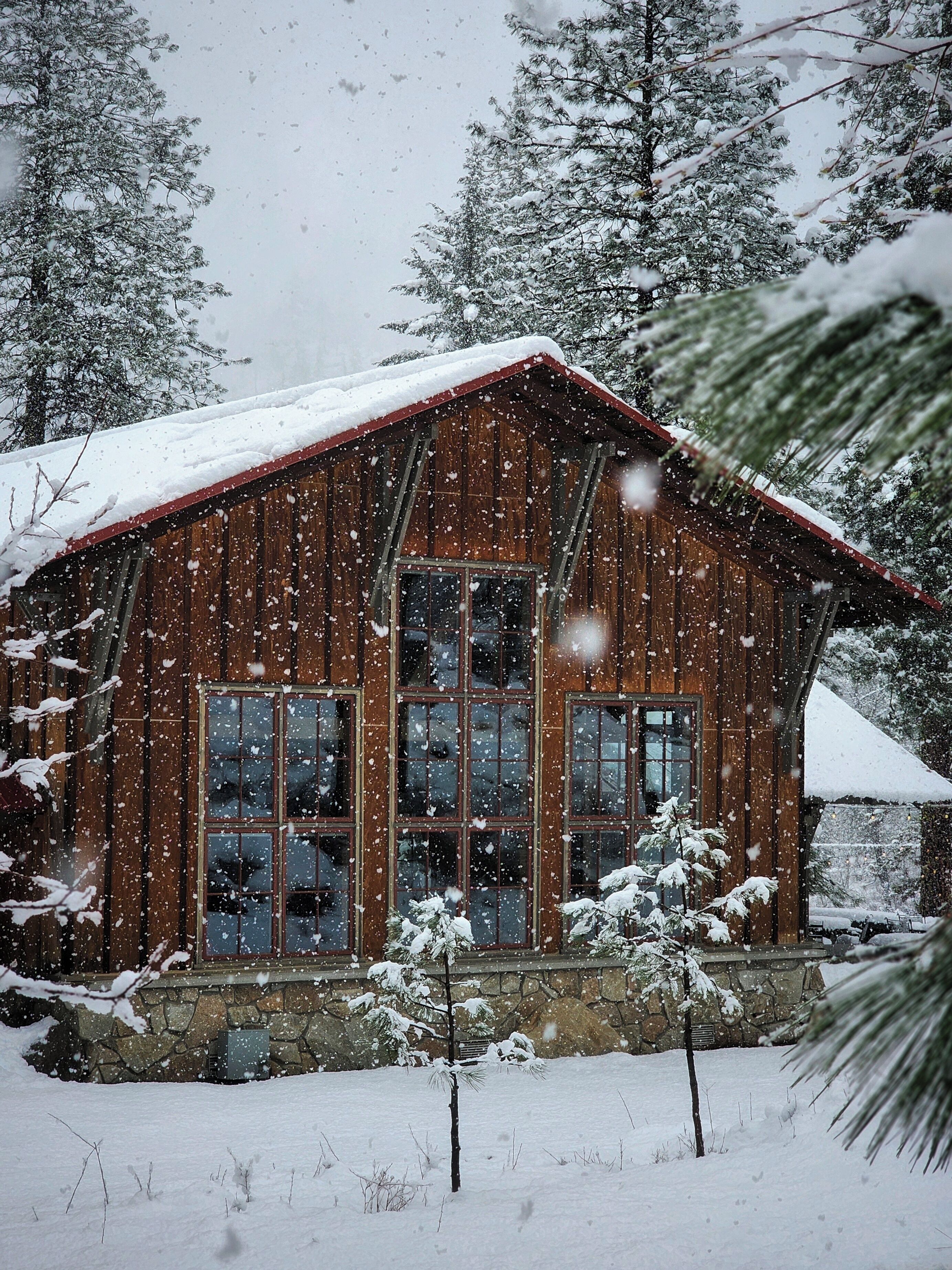 A wooden cabin with large windows, surrounded by snow-covered trees.
