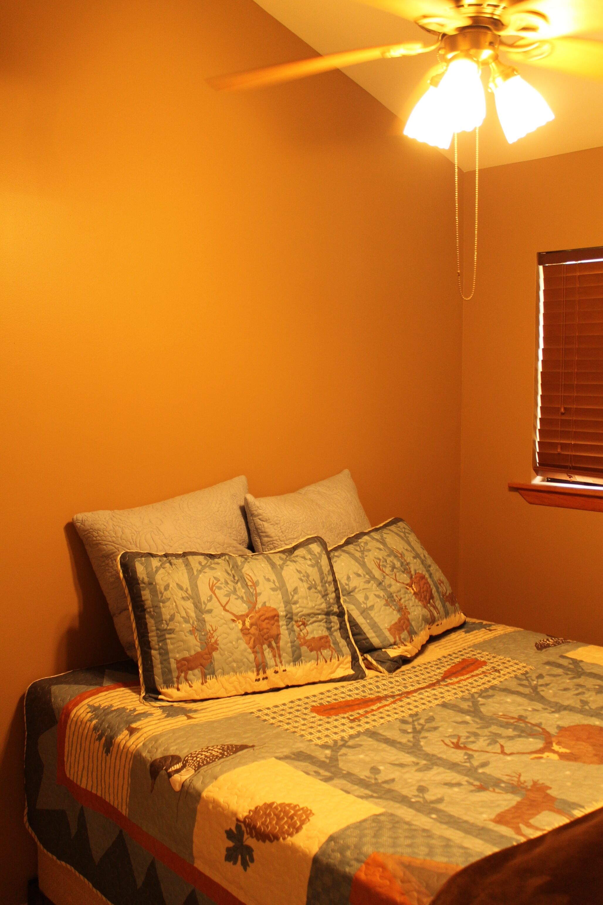 Lakefront cabin with bunkroom sleeps 8.  Quiet no wake cove.  