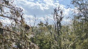 A riverside view with a wooden bridge, grassy banks, and trees. - Three Mile Lake -WATERFRONT and completely Furnished lake house . (Port Barre)