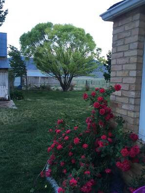 Overnatningsstedets område