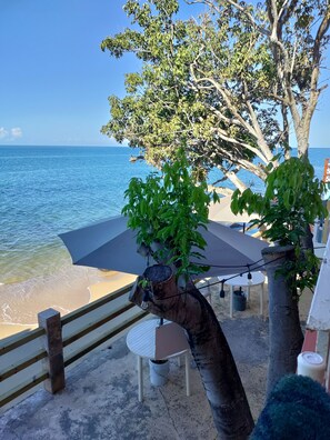 Un espace aménagé près de la plage, avec une table et des chaises, un arbre et une vue sur la mer.