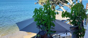 Blue Whales Apt. <br>2 BR for 4 guest or 1 BR for 2 guest complete privates.