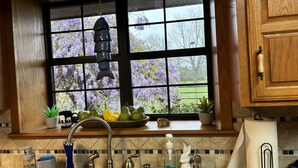 Een keuken met uitzicht op paarse bloemen, een decoratieve vis aan het plafond en verschillende keukengerei op het aanrecht.