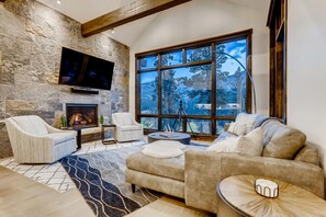 Smart TV, fireplace, video games, books