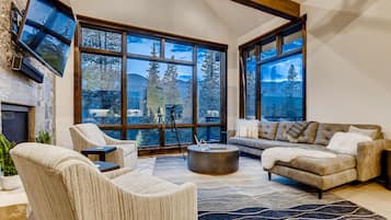 Smart TV, fireplace, video games, books