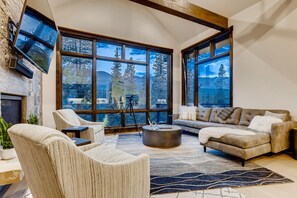 Smart TV, fireplace, video games, books