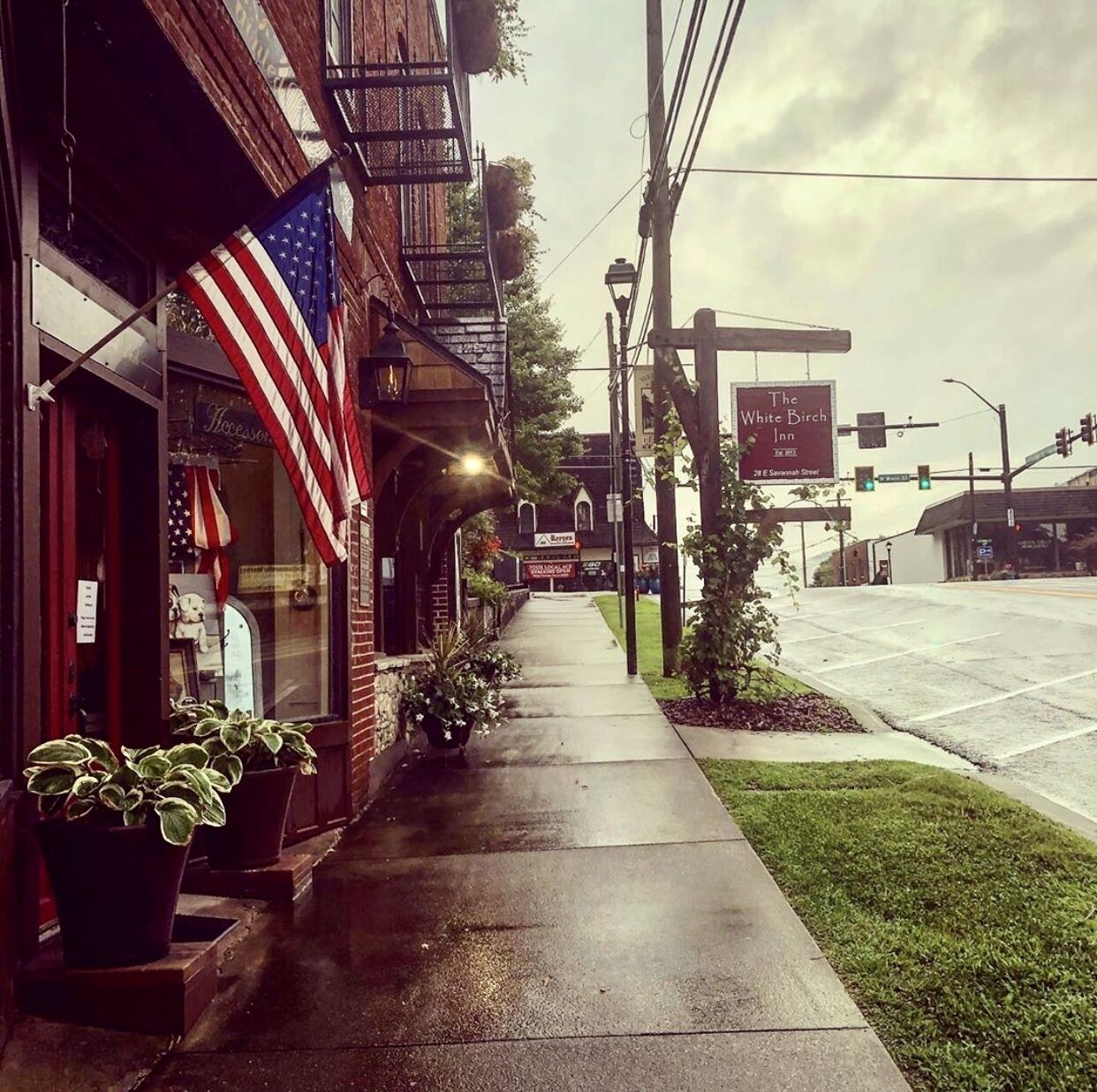 A sidewalk lined with potted plants and a storefront with an American flag.