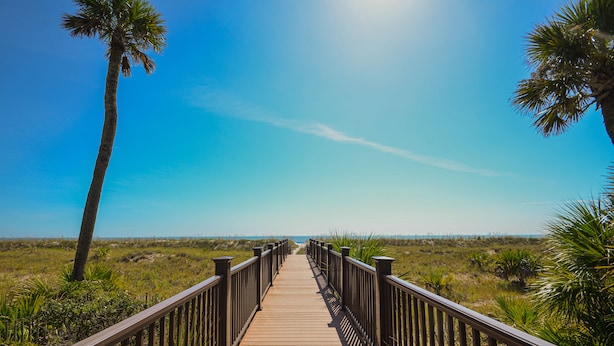 Una pasarela de madera que lleva a la playa, rodeada de palmeras y hierba.