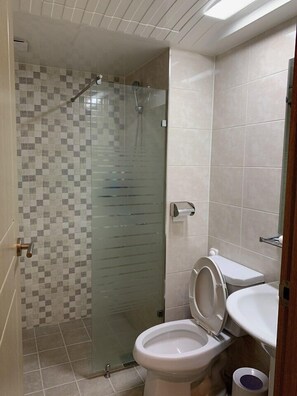 Douche, articles de toilette (gratuits), séchoir à cheveux