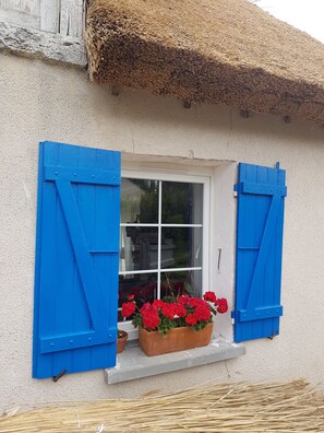 Exterior detail - Rustic cottage (DONNEMAIN ST MAMES)