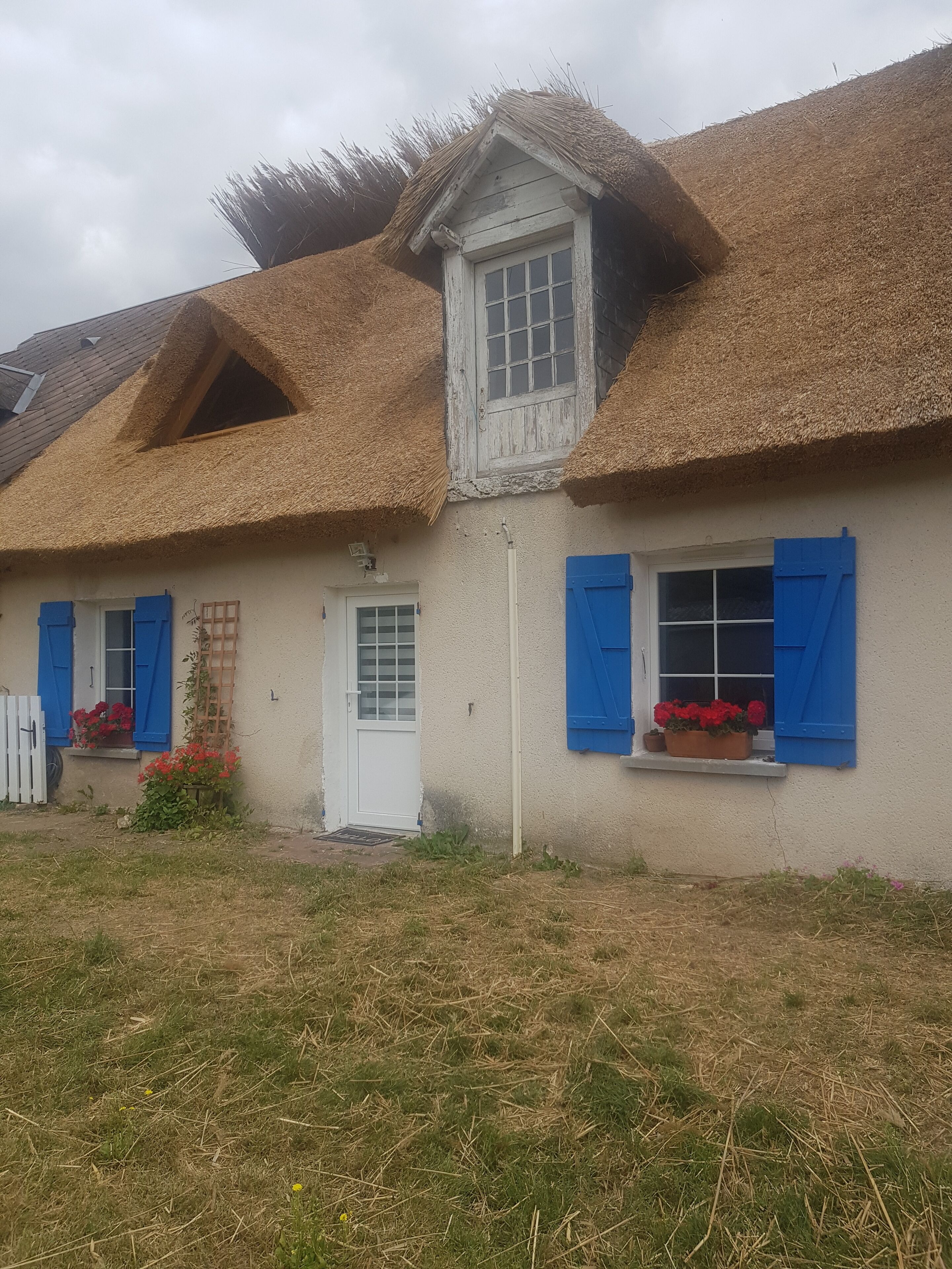 Rustic thatched cottage 