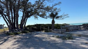 A sandy area with trees and a wooden fence.
