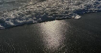 Beachfront Venice Casa de Villa