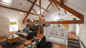 電視、壁爐、DVD 播放機