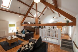 TV, fireplace, DVD player