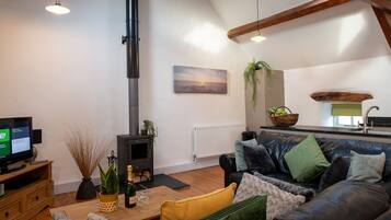 TV, fireplace, DVD player