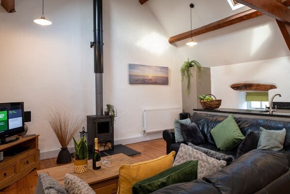 TV, fireplace, DVD player