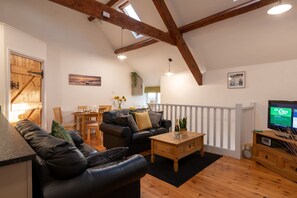 TV, fireplace, DVD player