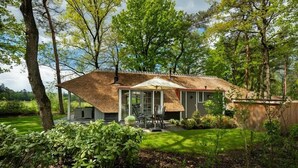 Une maison au toit de chaume, entourée d’une végétation luxuriante et d’arbres.