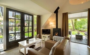 TV, fireplace, books