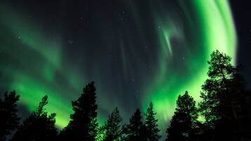 Cielo nocturno con auroras boreales y siluetas de árboles.