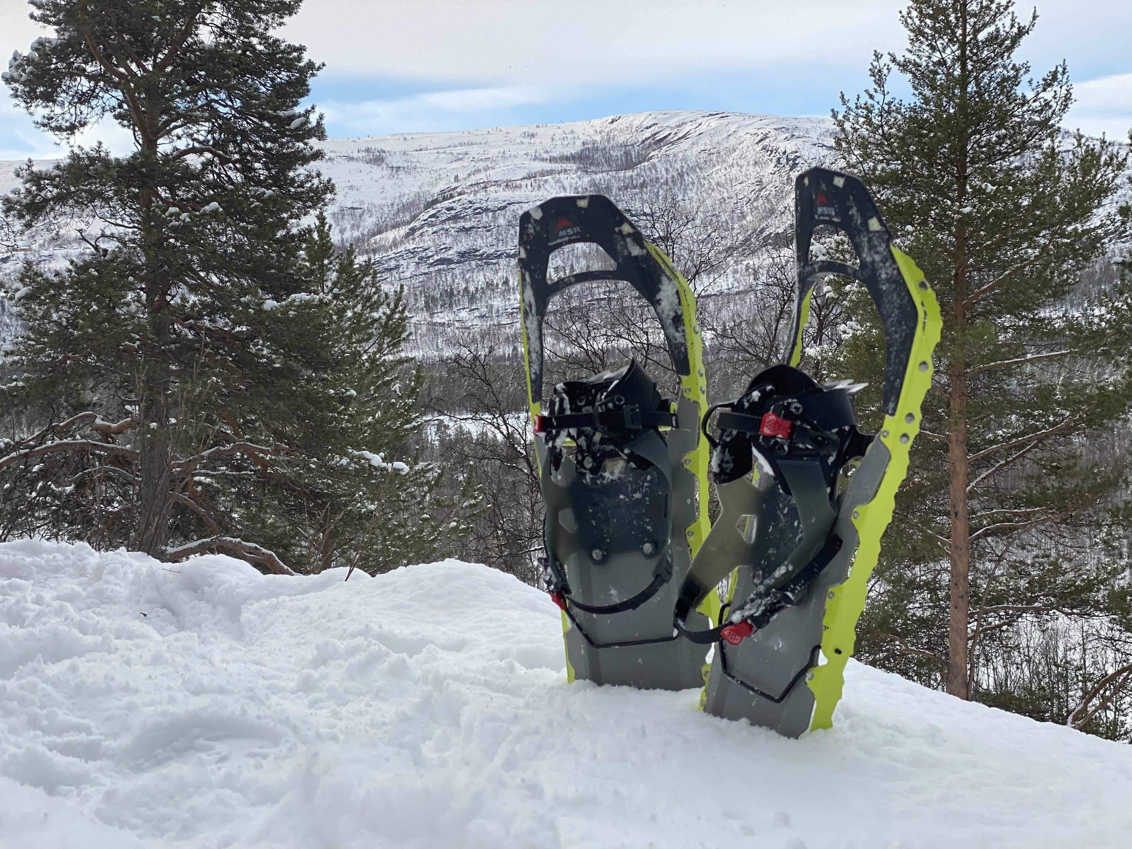 Snowshoes in a snowy landscape with trees and a mountain in the background.