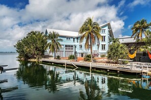 Unclassified image, 2 of 50, button