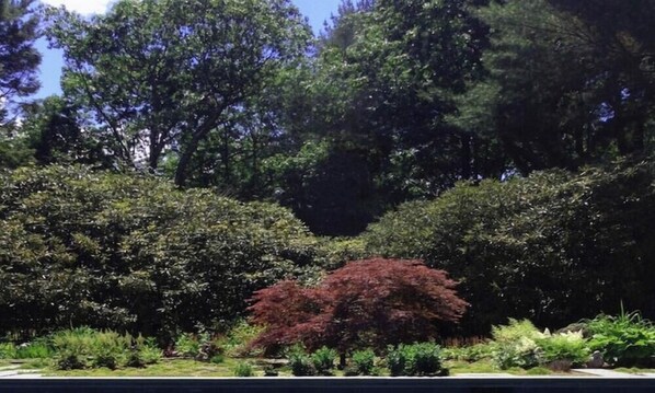 Un giardino con diversi alberi e arbusti, un vialetto e un edificio sullo sfondo.