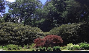 Un jardin avec différents arbres et arbustes, un sentier et un bùtiment en arriÚre-plan.