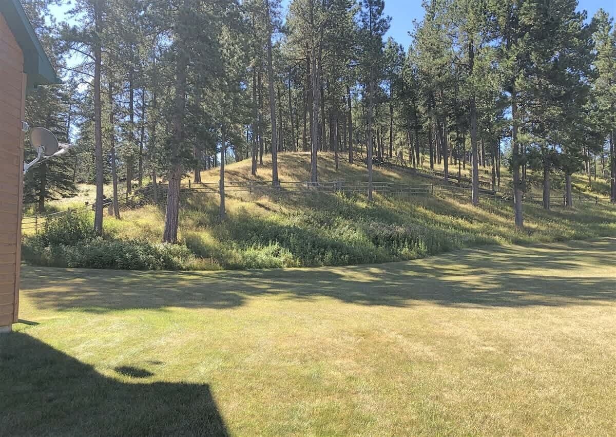 A grassy area with trees and a building in the background.