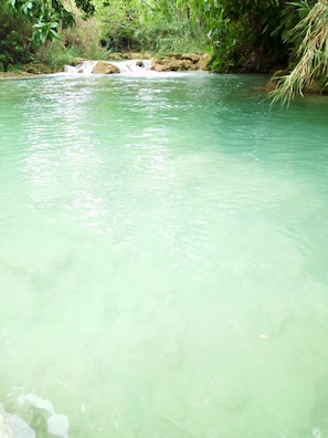 Room, 1 Bedroom, Smoking, Patio | Miscellaneous - Sierraverde Cabins Rosewood (Tamasopo)