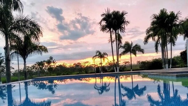 A clear pool with palm trees and a sunset in the background. - Waja Lo Nuestro - The Elegance of the Indigenous (Armenia)