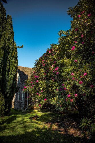 Hostal Chamiza, Forests and a Unique Tranquility 10 Minutes From Puerto Montt