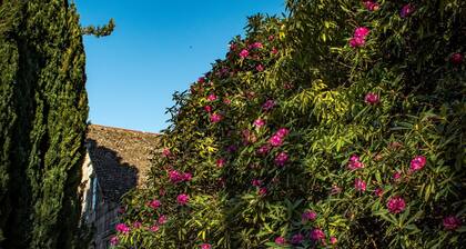 Hostal Chamiza, Forests and a Unique Tranquility 10 Minutes From Puerto Montt