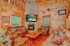 TV, fireplace, video games, DVD player