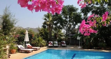 Luxury Spacious, Very Private Villa With own Pool and sea Views