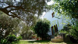 Un jardín con un camino que lleva a un edificio. Se observan diversas plantas y árboles alrededor.