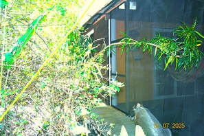 Cabin, 1 Bedroom, Smoking, Patio | Exterior detail