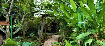 Jungle Like Oasis in San Ignacio - Secluded Cabaña Retreat Close To Mayan Ruins