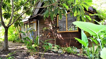 A wooden cabin surrounded by dense foliage.