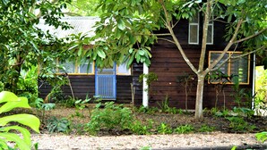 A wooden cabin with a blue door and windows, surrounded by dense greenery and a garden area. - Jungle Like Oasis in San Ignacio - Secluded Cabaña Retreat Close To Mayan Ruins (San Ignacio)