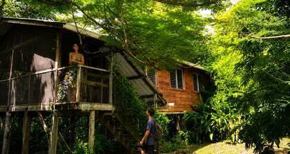 Unique Private Tree Top Cottage in Tropical Garden, Near San Ignacio Town