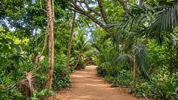 Taman